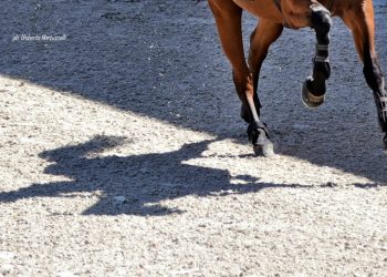 Ci hanno lasciato nel 2025…