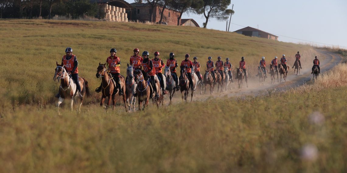 Perugia, al via il Fei Endurance Forum 2026