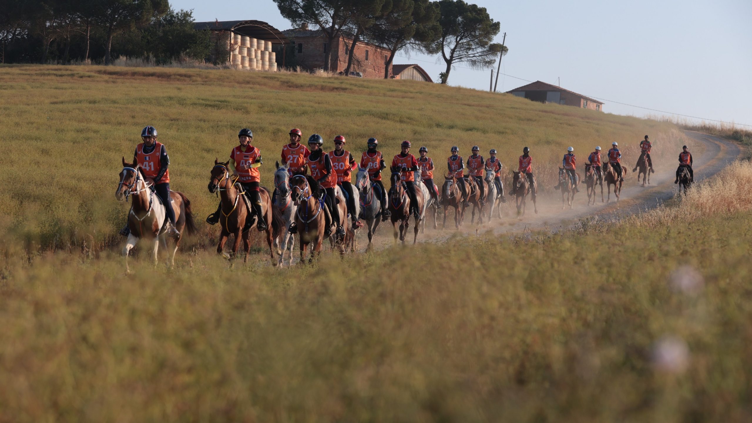 Endurance equestre STS 0355 scaled