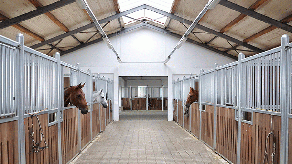 How to Properly Prepare Stables for a Horse