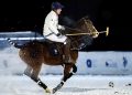 Valle d’Aosta, Polo, cavalli e sport equestri, nei numeri FISE la grande passione