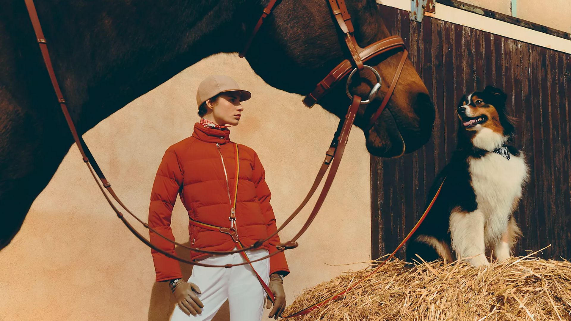 Progetto senza titolo