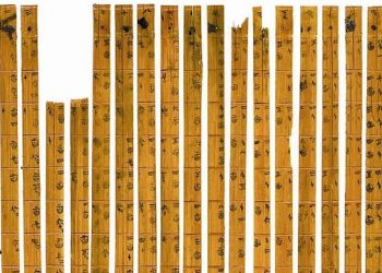 Dalla Cina una  testo scritto 2.000 anni fa su  cura e addestramento dei cavalli