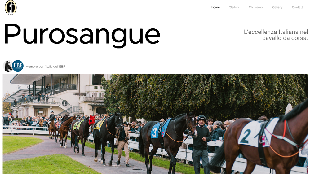 Schermata 2026 01 18 alle 17.19.20