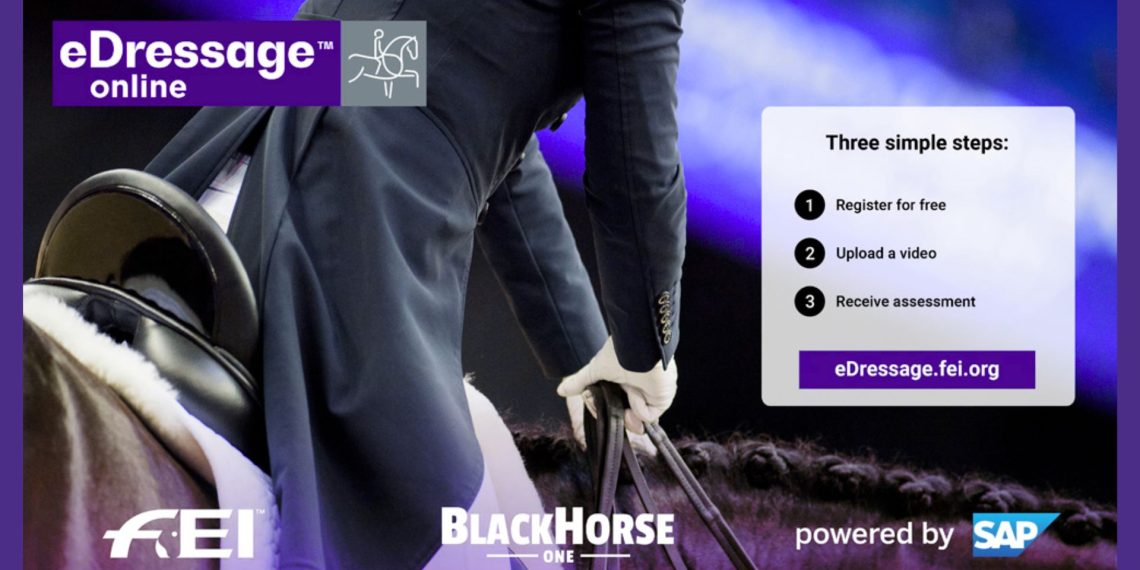 FEI, Black Horse One e SAP