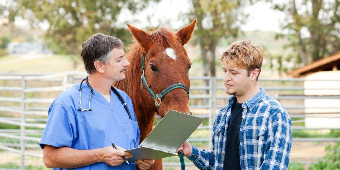 Il certificato di idoneità sportiva del cavallo atleta