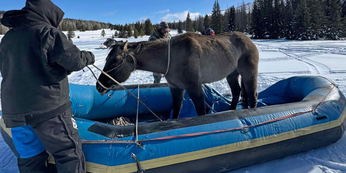 La straordinaria storia di Mouse