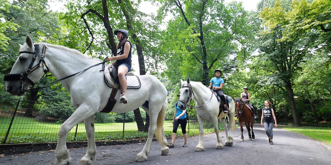 Il ritorno dei cavalli a Central Park