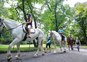 Il ritorno dei cavalli a Central Park