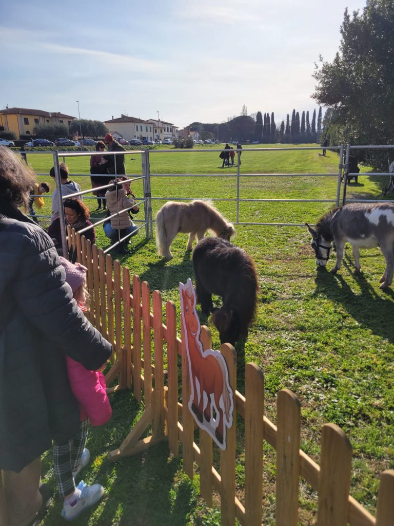 WhatsApp Image 2026 01 20 at 10.01.21 768x1024