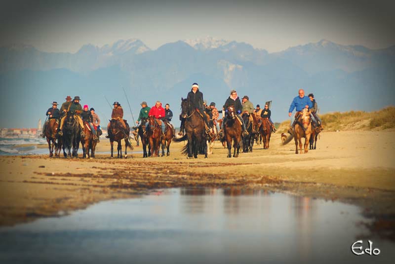 WhatsApp Image 2026 01 20 at 11.07.40 1