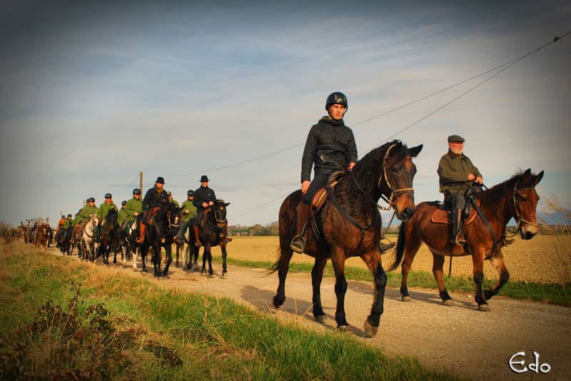 WhatsApp Image 2026 01 20 at 11.07.40 2