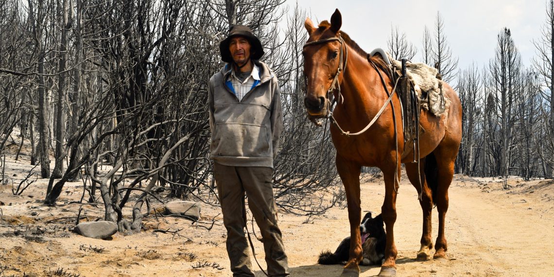 Patagonia: la biodiversità del Parco Los Alerces minacciata dalle fiamme