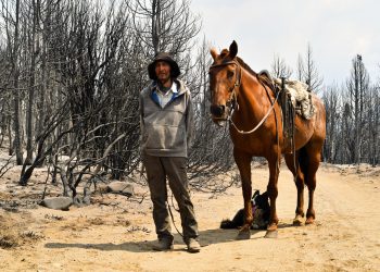 Patagonia: la biodiversità del Parco Los Alerces minacciata dalle fiamme
