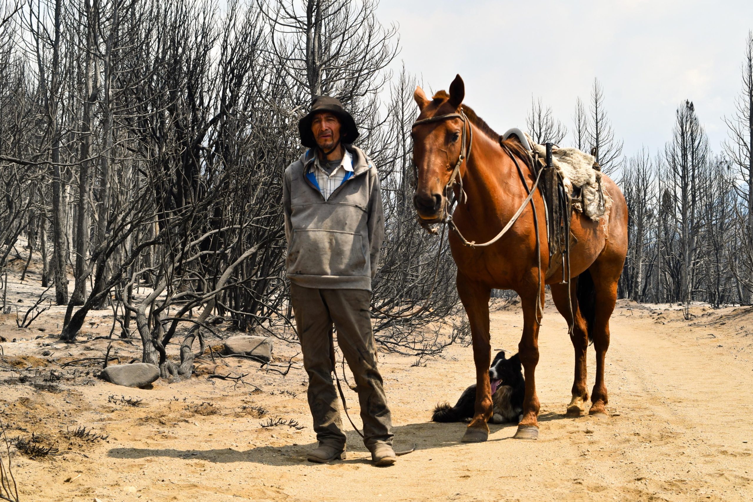 a7fe2aa4e1ac65c8f7e559cb0deca514 1 scaled