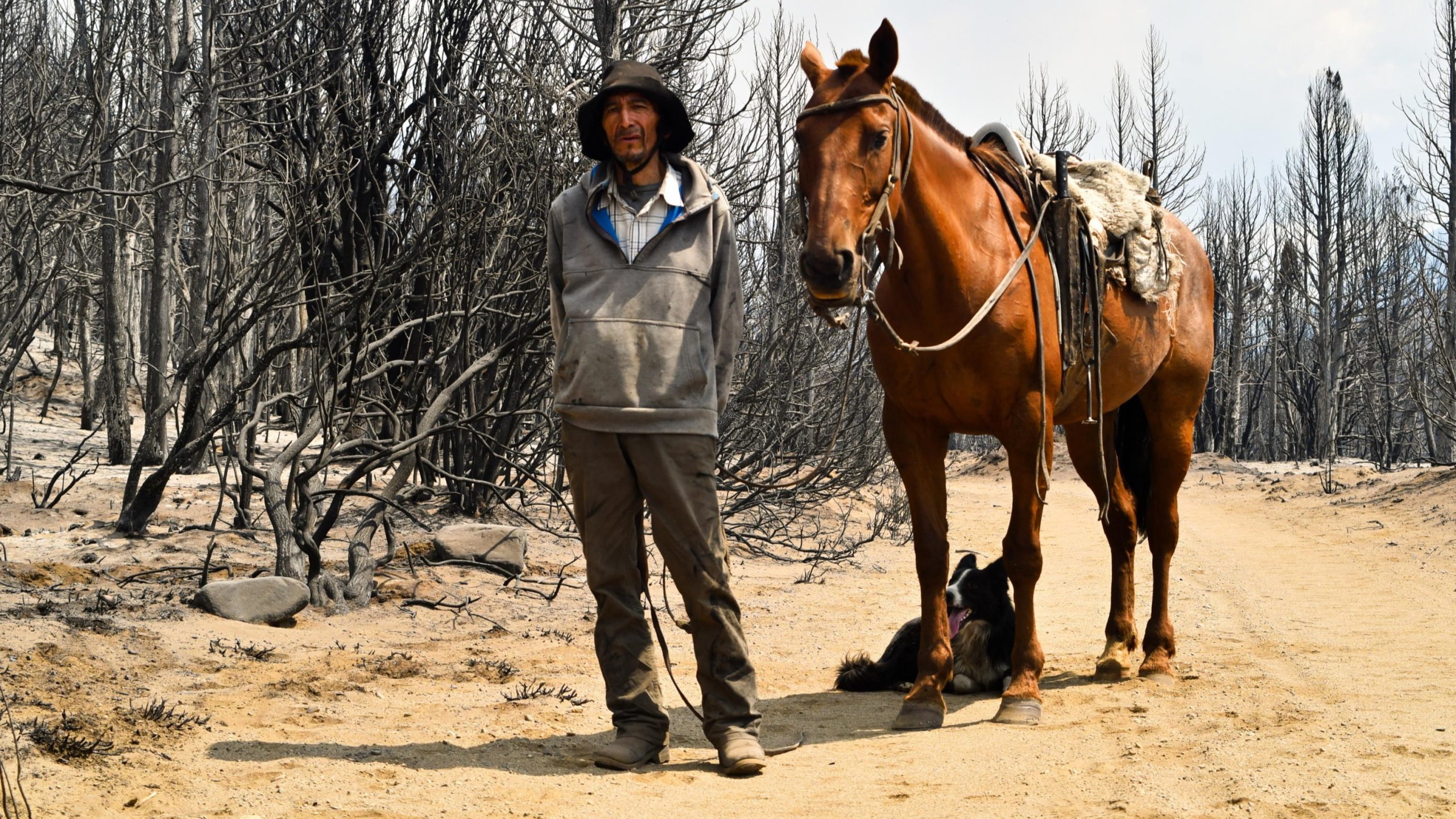 a7fe2aa4e1ac65c8f7e559cb0deca514 scaled