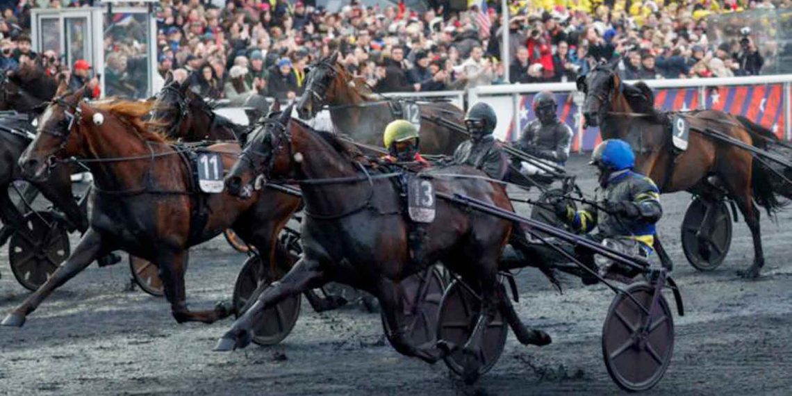 Trionfo del binomio Hokkaido Jiel e Franck Nivard nel Prix d’Amerique 2026