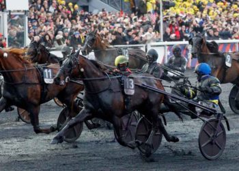 Trionfo del binomio Hokkaido Jiel e Franck Nivard nel Prix d’Amerique 2026