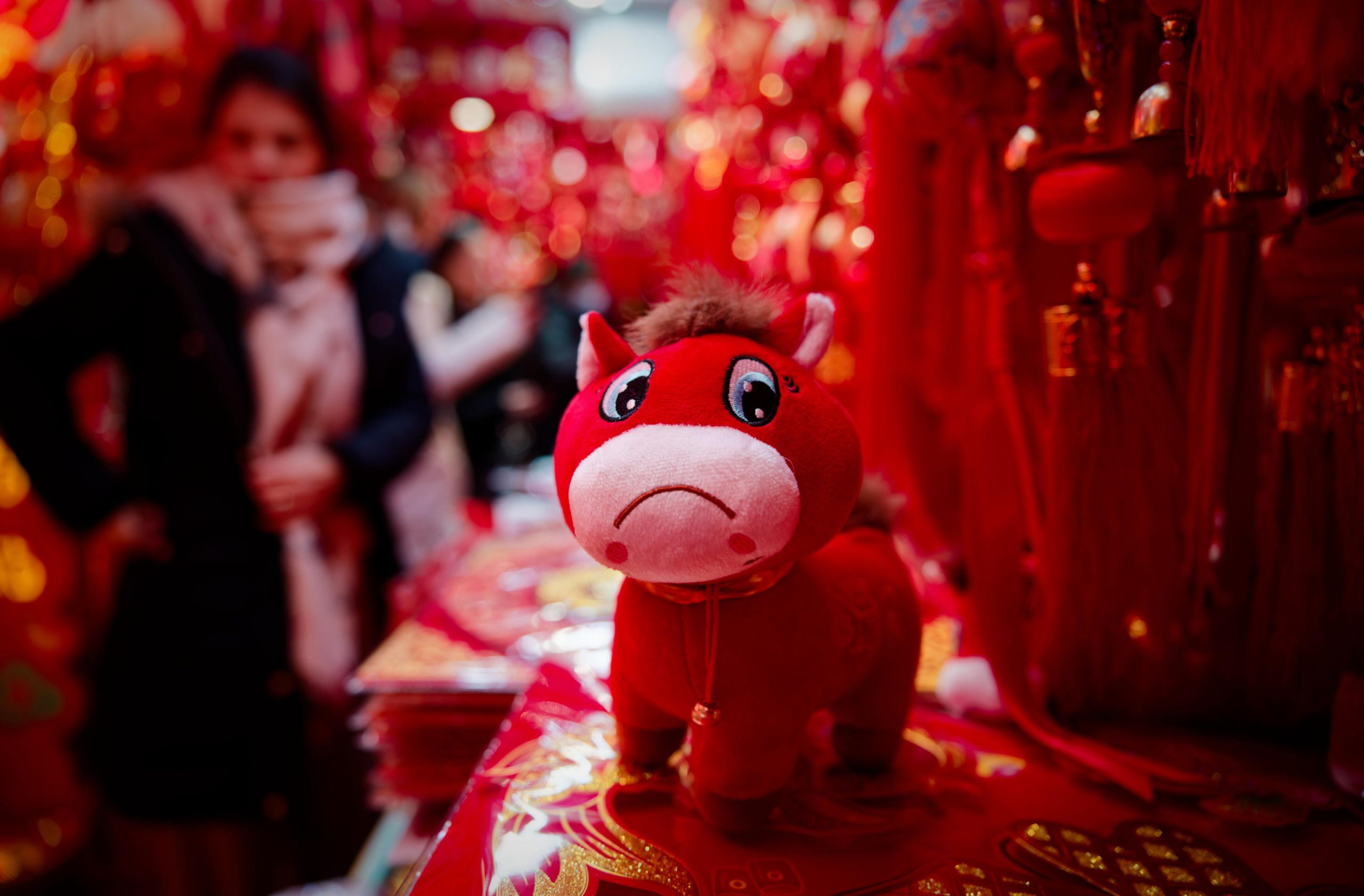 c5a56dfcc568bcbd8f8e00cd0a7aef04 scaled