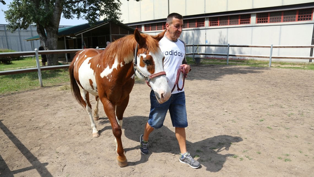 cavalli e carcere 2