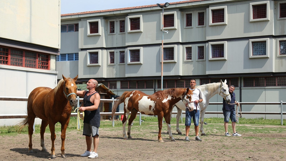 cavalli e carcere