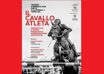 Sardegna, a Ozieri convegno sul cavallo atleta