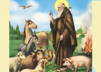 Benedetti animali…