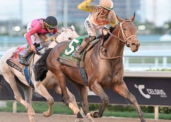 Skippylongstocking vince a sorpresa la Pegasus World Cup