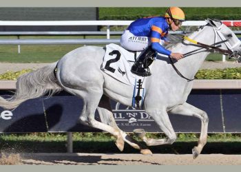 La Pegasus World Cup, il primo grande appuntamento del 2026