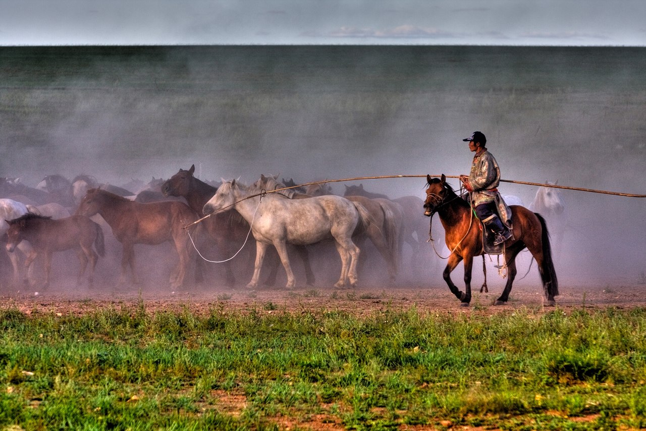 1280px %E8%92%99%E5%8F%A4%E6%97%8F%E5%A5%97%E9%A9%AC   panoramio