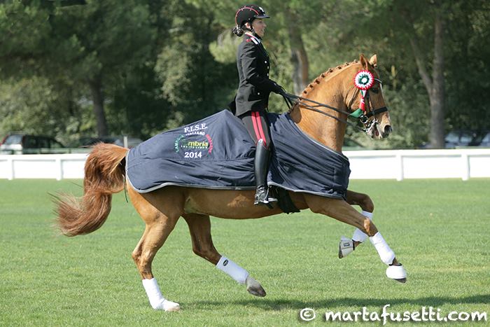 462778887 8195625690564370 2350369101382846792 n