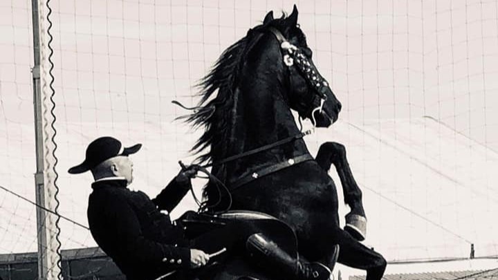 58769436 2200318586672470 6602247100623224832 n