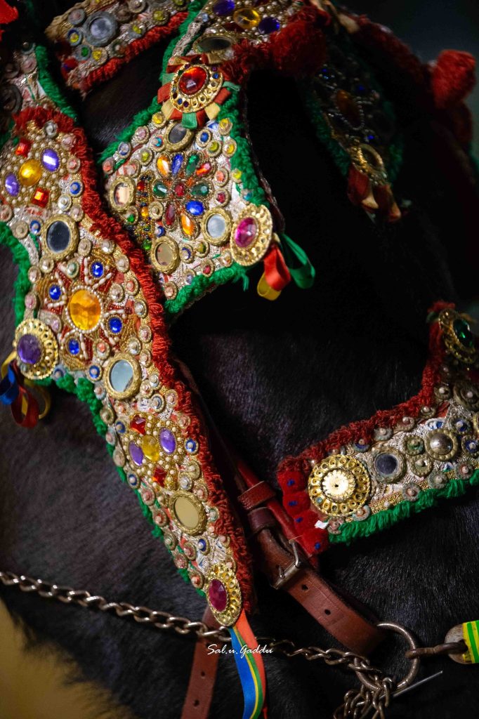 631284782 1287794470072855 1347168598598431737 n 682x1024