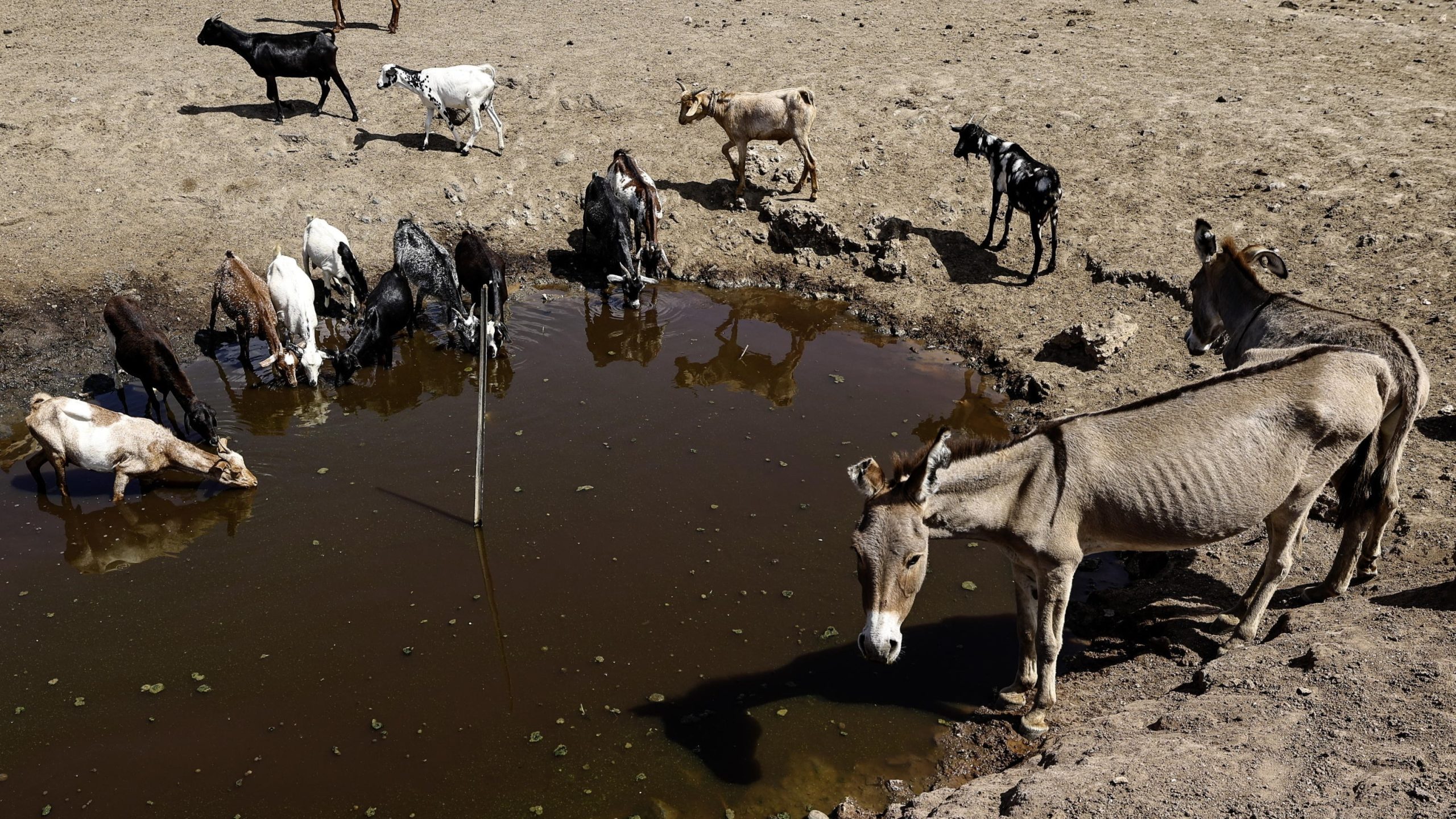 75ac9d2af094fbe1ebeed69f8f2e2b54 scaled