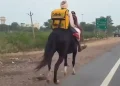 India: la spesa arriva a cavallo