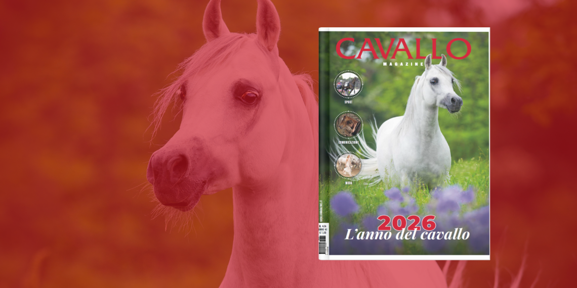 Un anno per il Cavallo