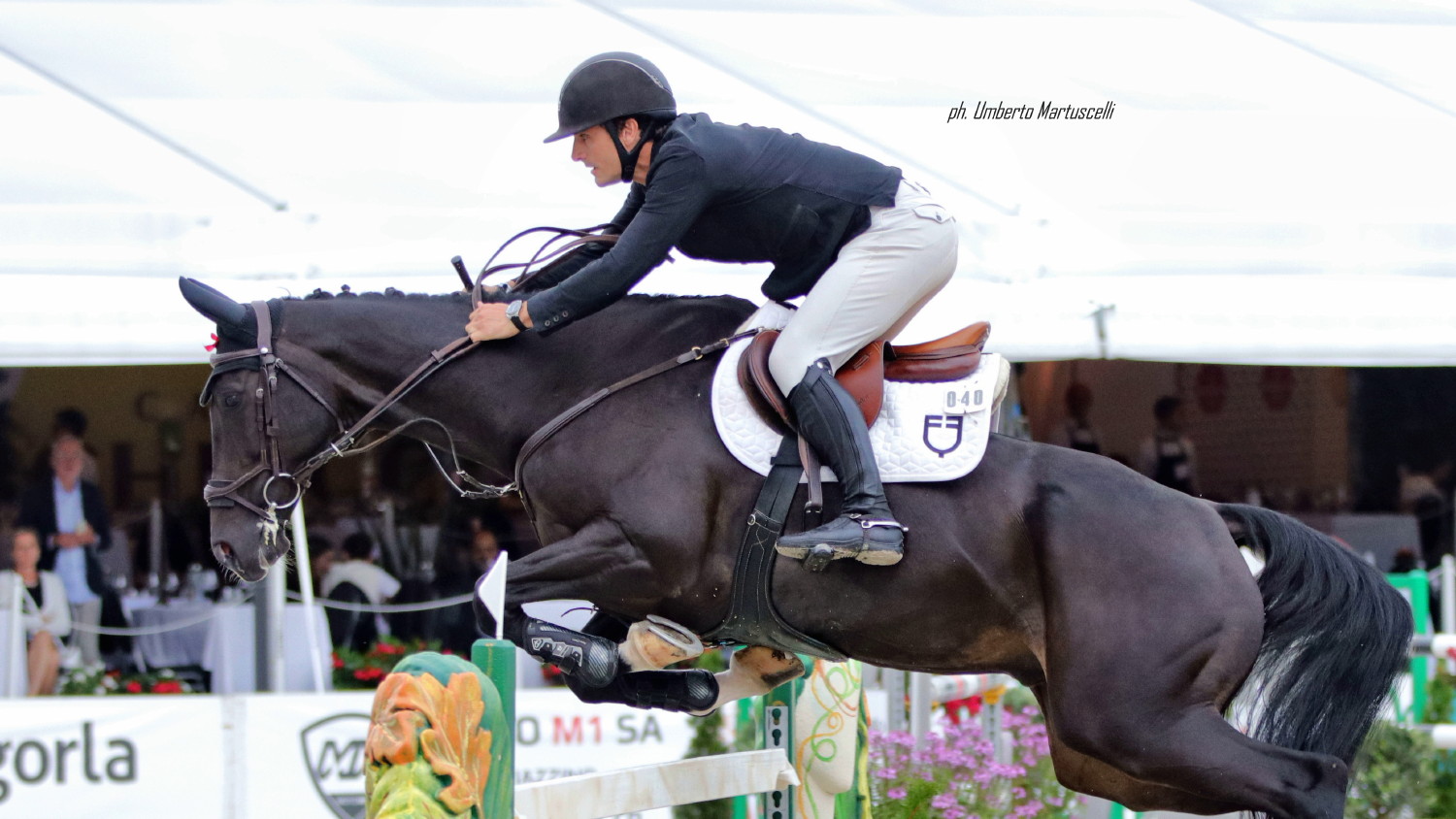 CSI Ascona Giacomo Bassi su Cash du Pratel OK