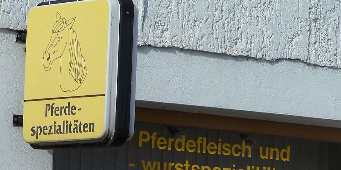 Macellazione equidi: in Emilia Romagna FDI difende la filiera piacentina contro il divieto