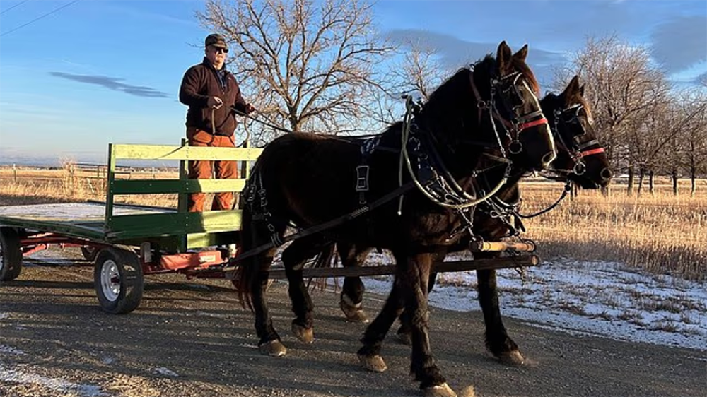 Schermata 2026 02 28 alle 15.19.13