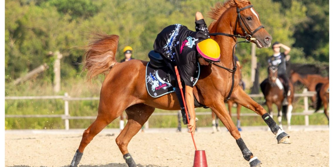 Mounted Games: il programma sportivo 2026