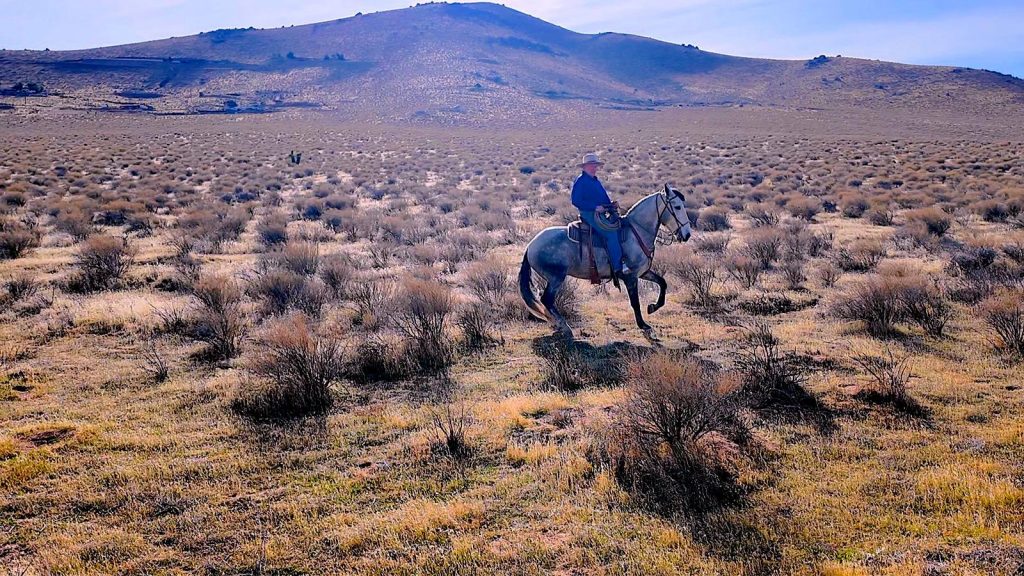 WhatsApp Image 2026 02 22 at 11.18.38 1 1024x576