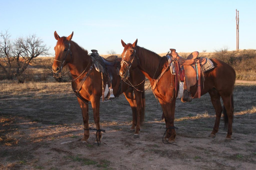 WhatsApp Image 2026 02 22 at 11.18.38 1024x682