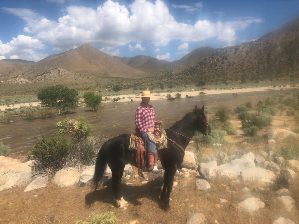 WhatsApp Image 2026 02 22 at 11.18.38 2 1024x768