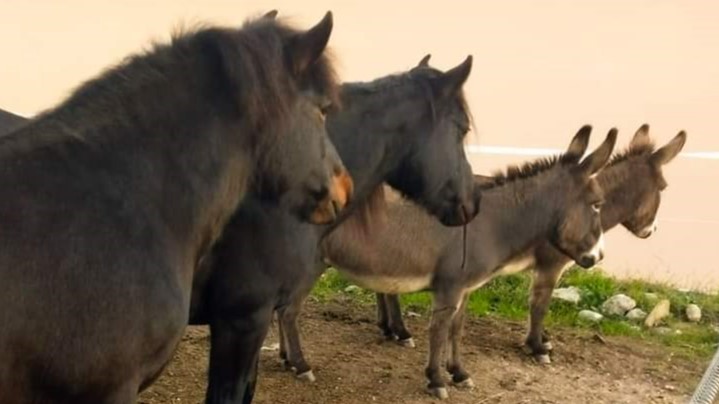 WhatsApp Image 2026 02 26 at 16.05.01