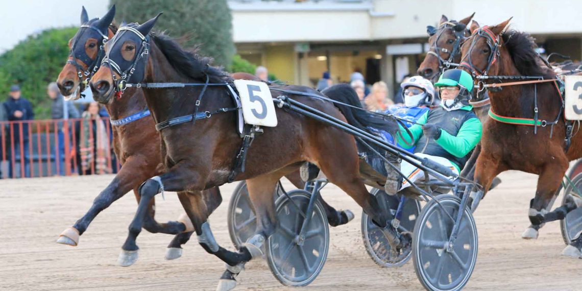 Il ritorno delle corse all’Arcoveggio