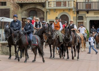 CavallinCittà Arezzo: la 15ª edizione tra trekking, spettacoli e tradizione