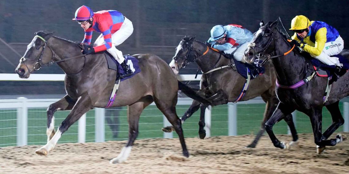 L’ottava meraviglia di Aisling Oscar