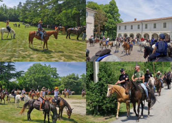 Alcuni scatti dell'edizione 2025