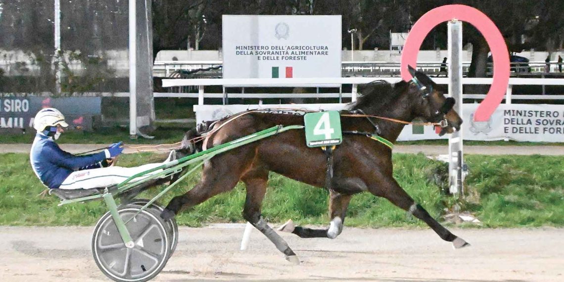 Dominio di Follia d’Esi nell’ENCAT