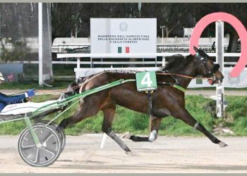 Dominio di Follia d’Esi nell’ENCAT